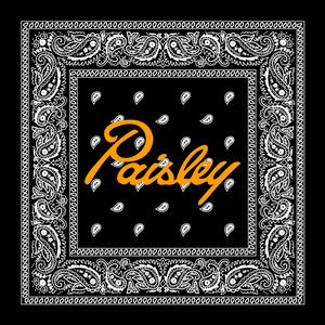 Paisley Pressure Bandana