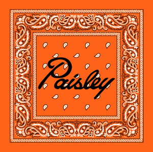 Paisley Pressure Bandana